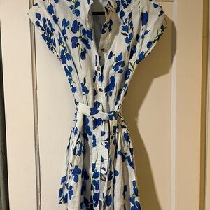 Karina Grimaldi Blue and White Floral Mini Dress